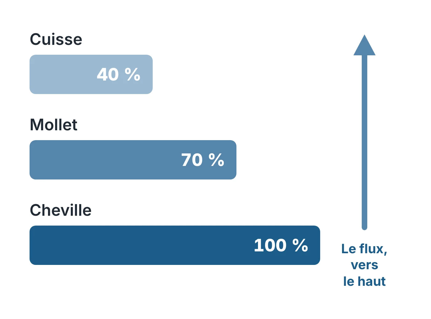 Schéma de la compression graduée : pression maximale à la cheville, dégressive vers la cuisse, flux dirigé vers le haut